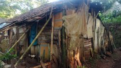 Derita Hidup 4 Anak Yatim Piatu Yang Hidup Di Rumah TIdak Layak Huni Di Desa Punggelan Banjarnegara
